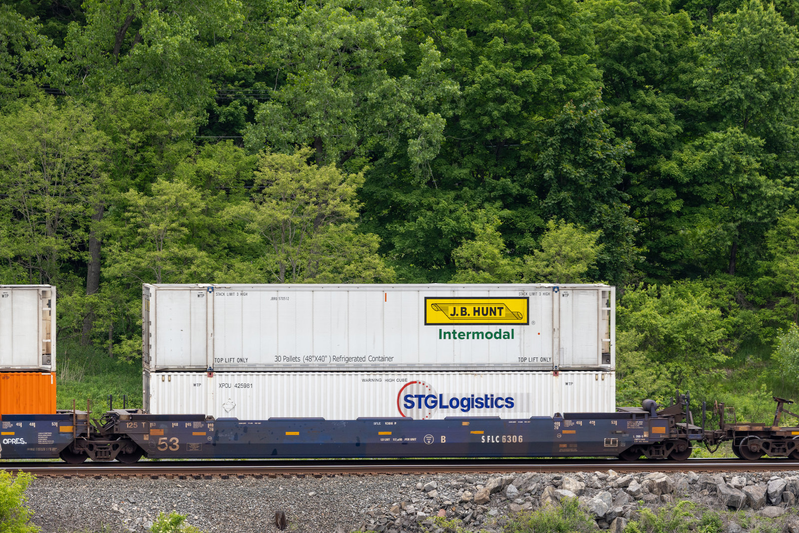 SFLC 6306B