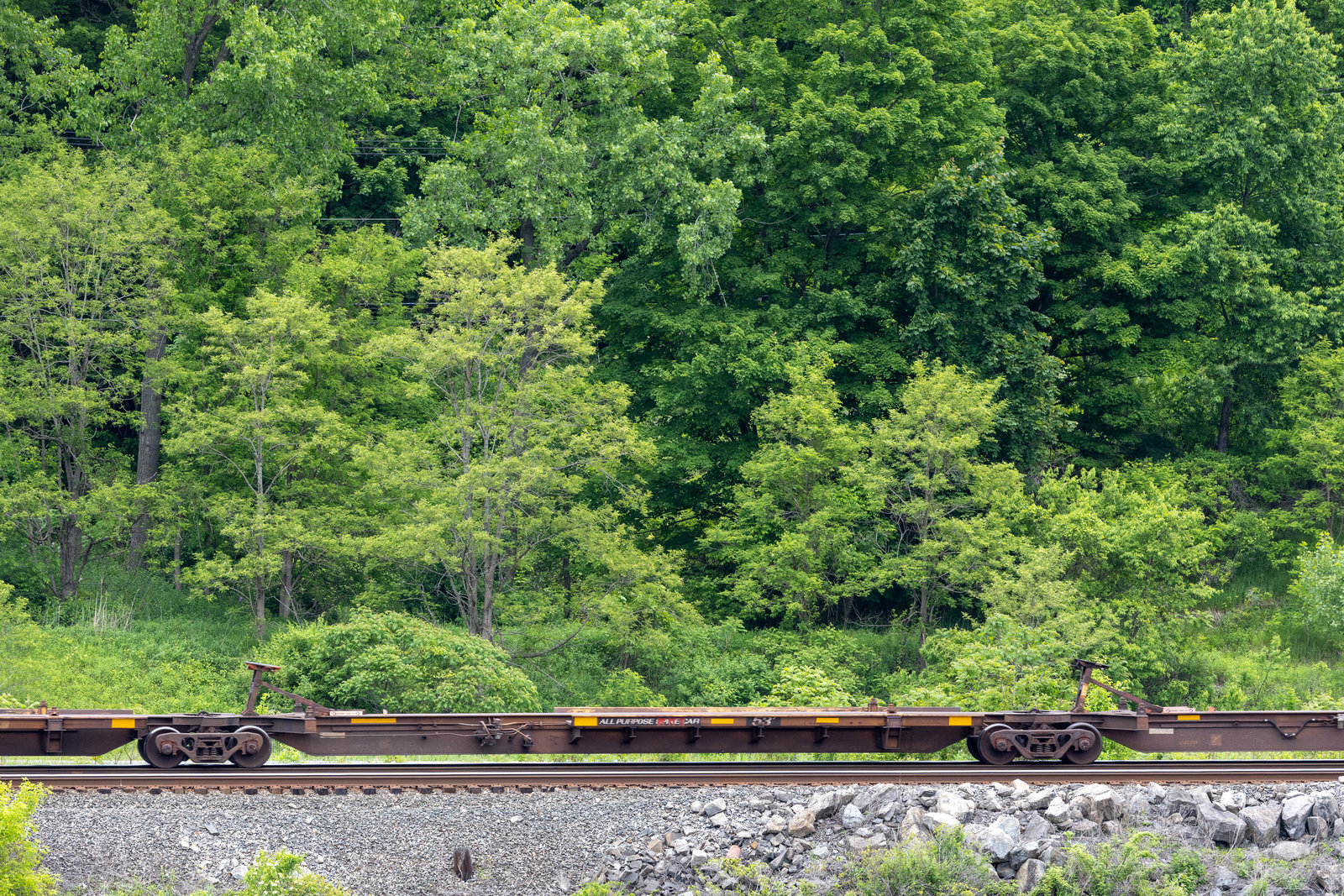 TTAX 554249D