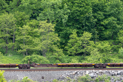 TTAX 554249E