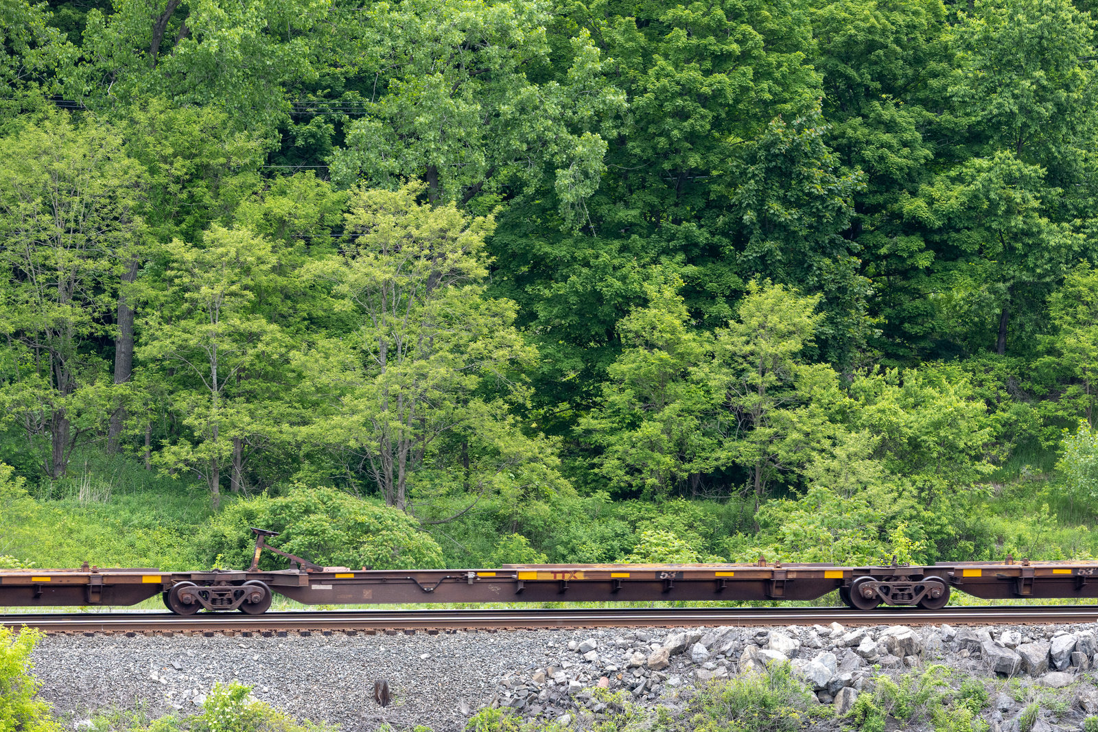 TTAX 554249E