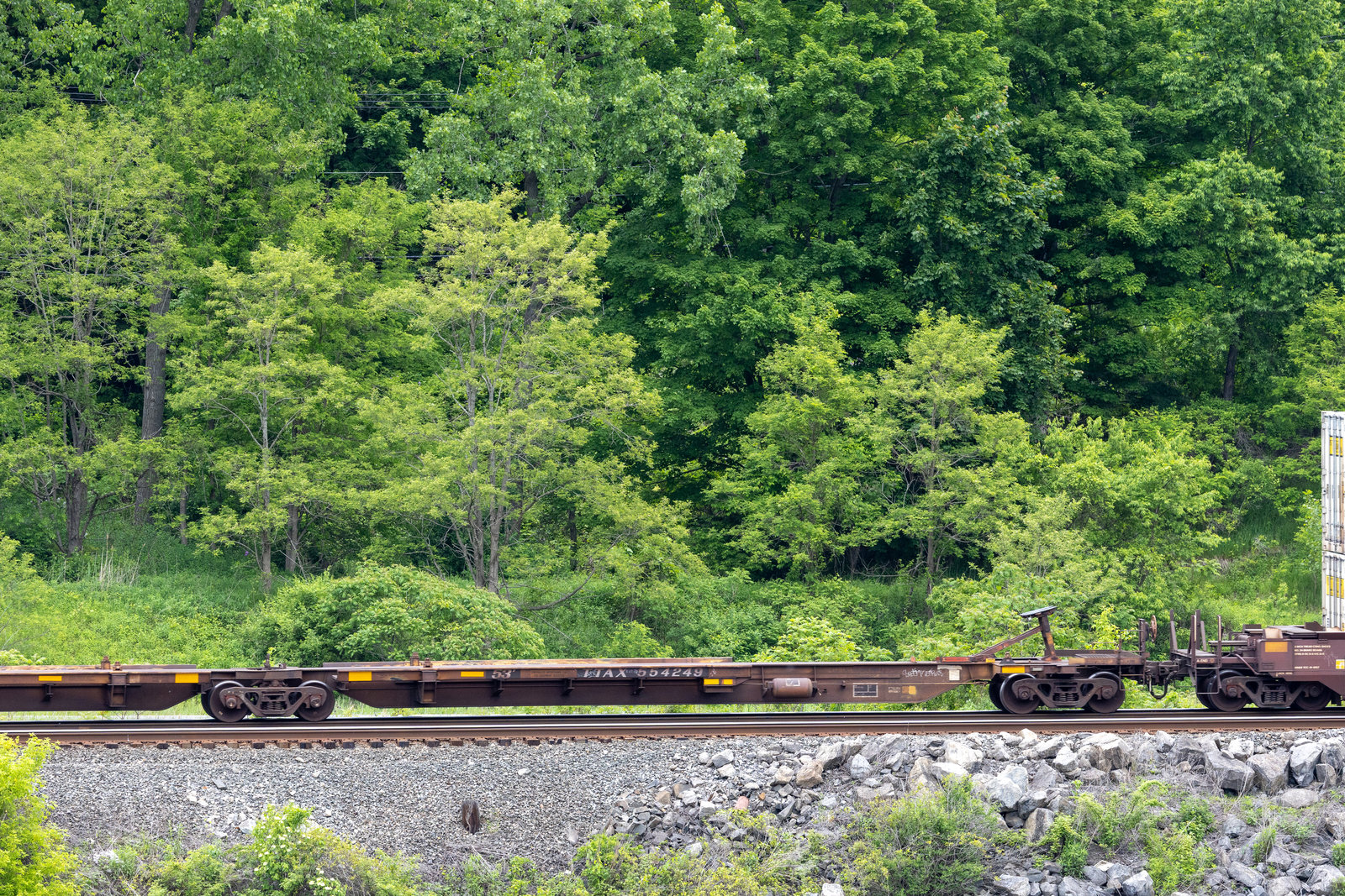 TTAX 554249A
