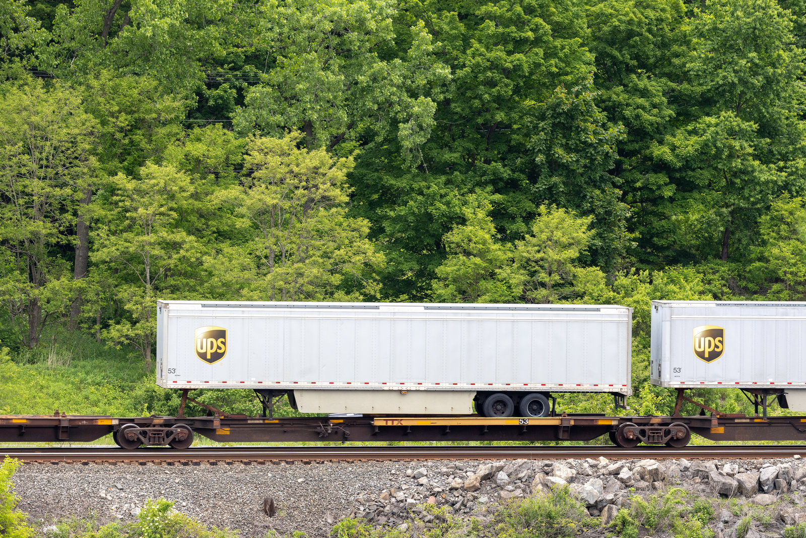 TTAX 554255D