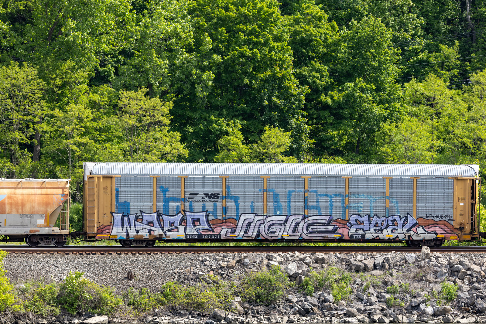 TTGX 707371