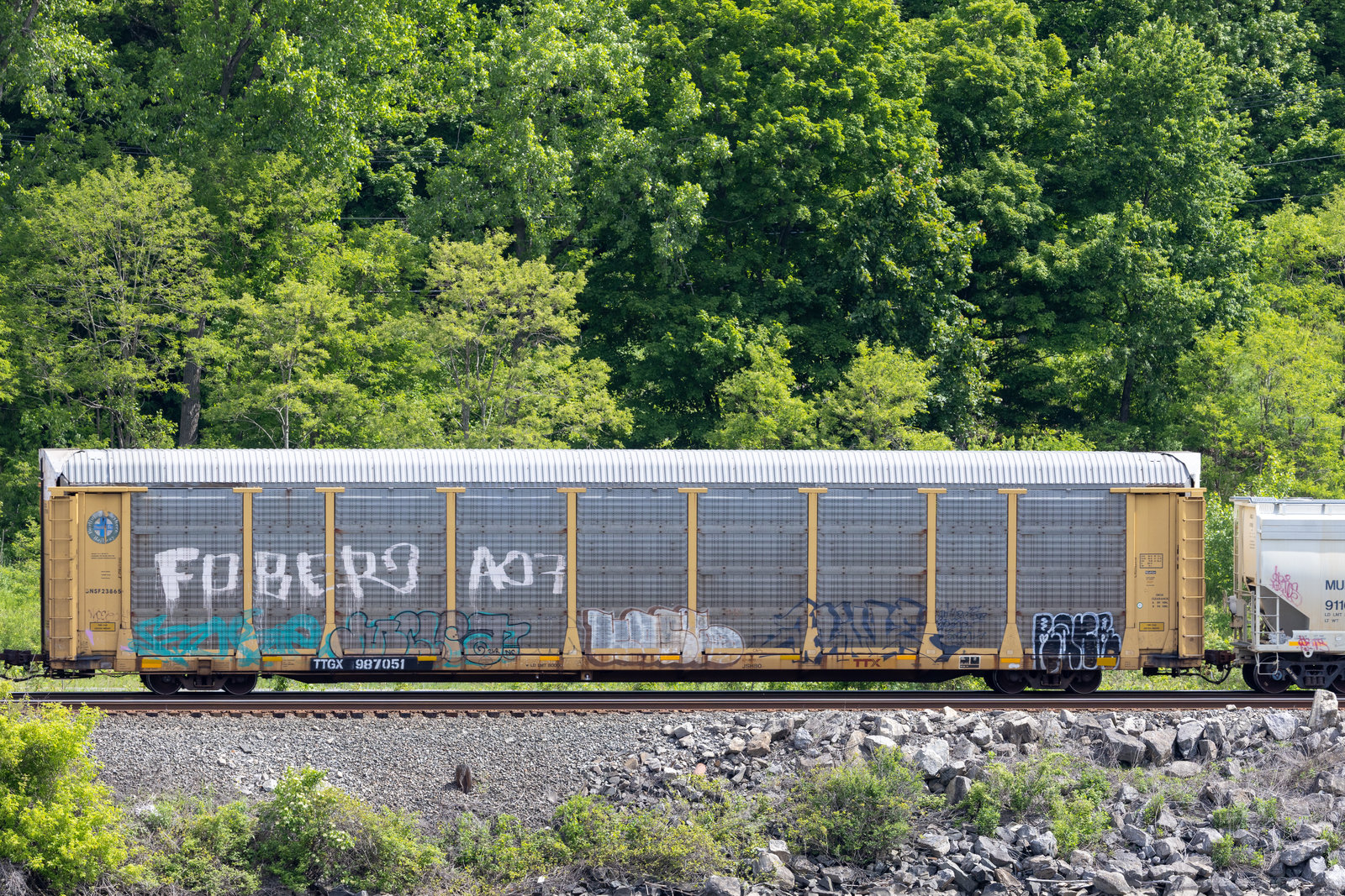 TTGX 987051