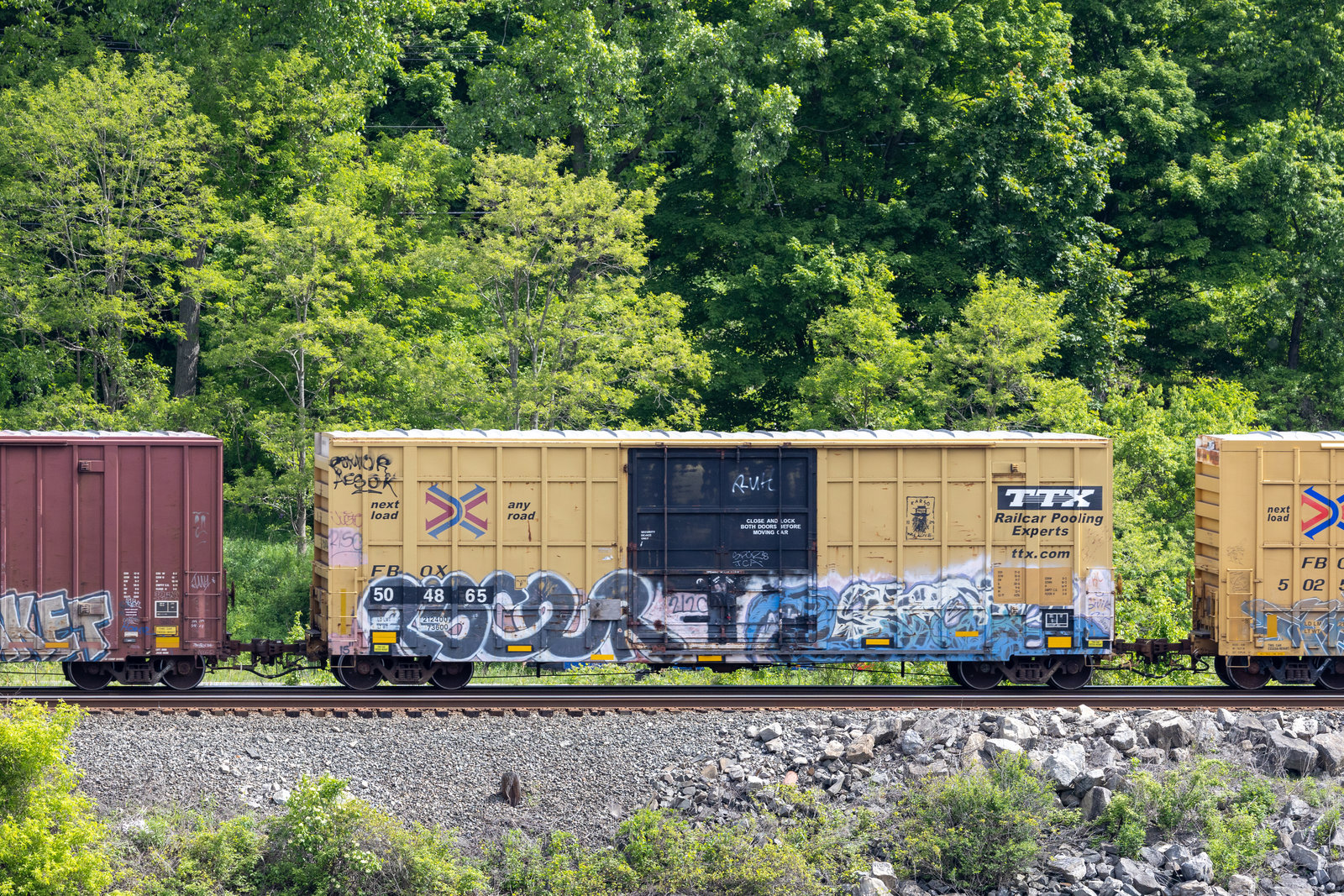 FBOX 504865
