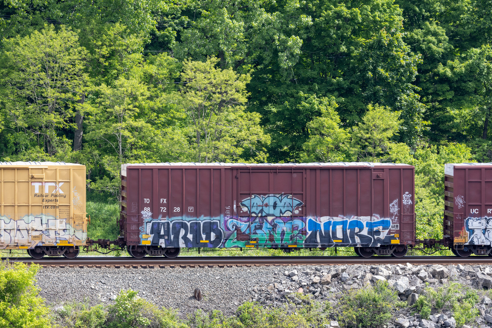 TOFX 887228