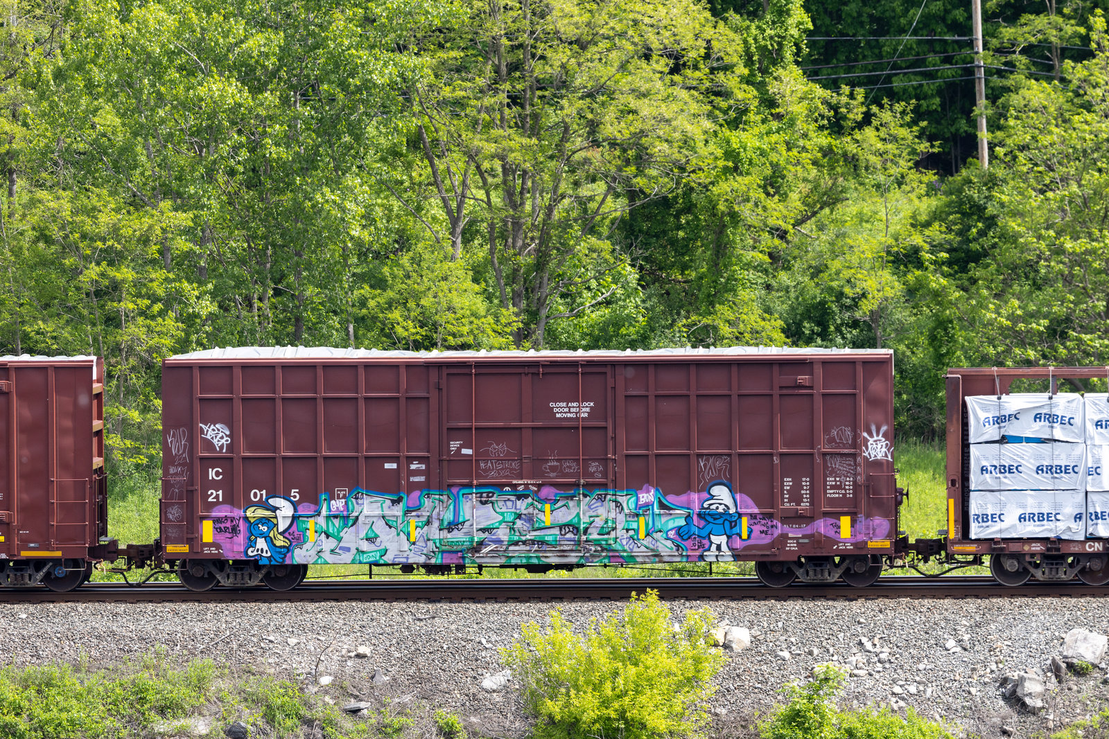 IC 21015