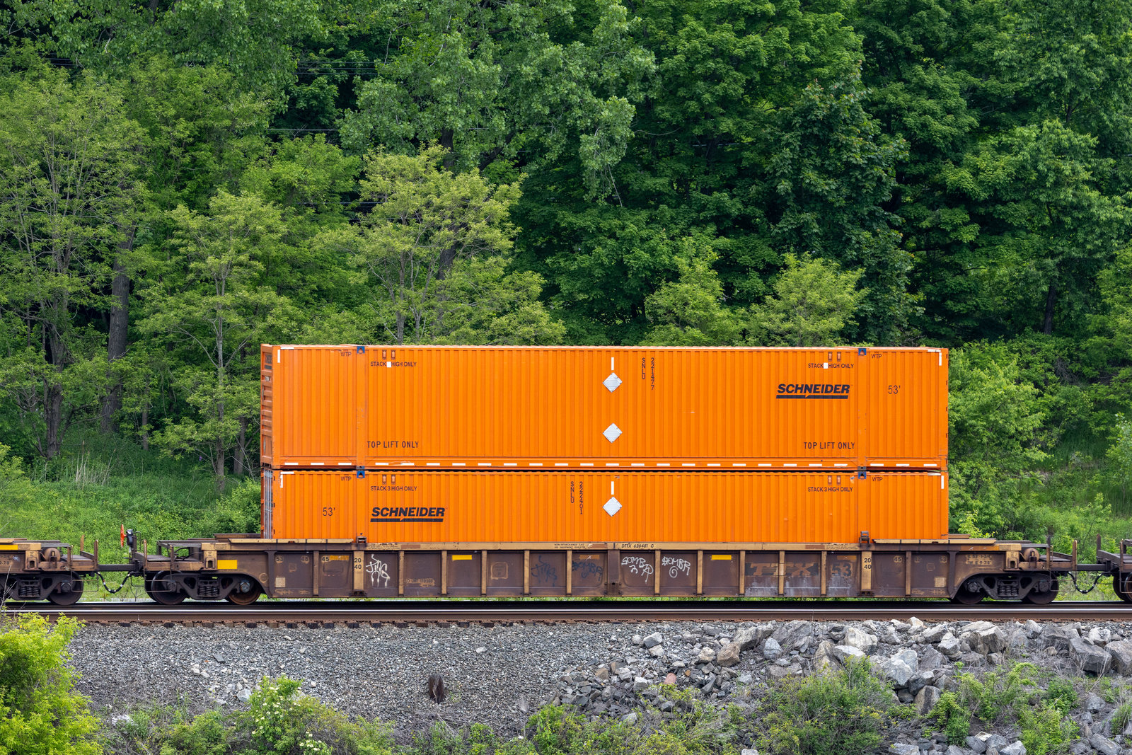 DTTX 620481C