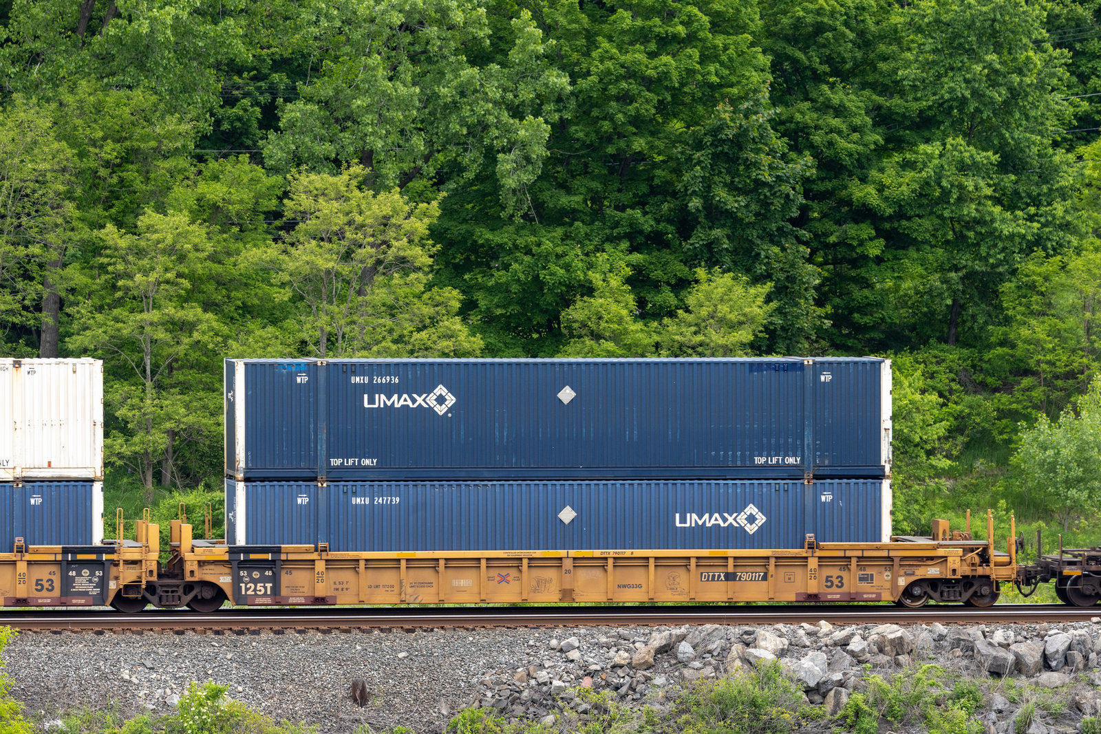 DTTX 790117B
