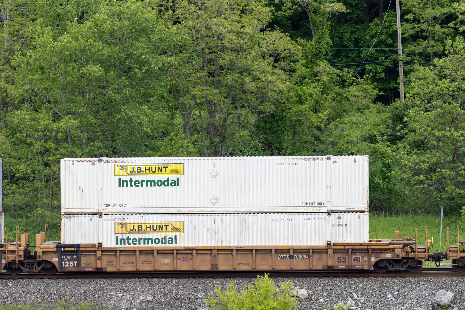 DTTX 790054B