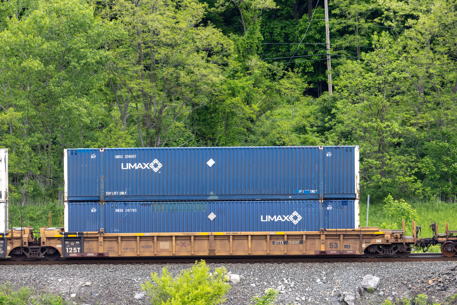 DTTX 788081B