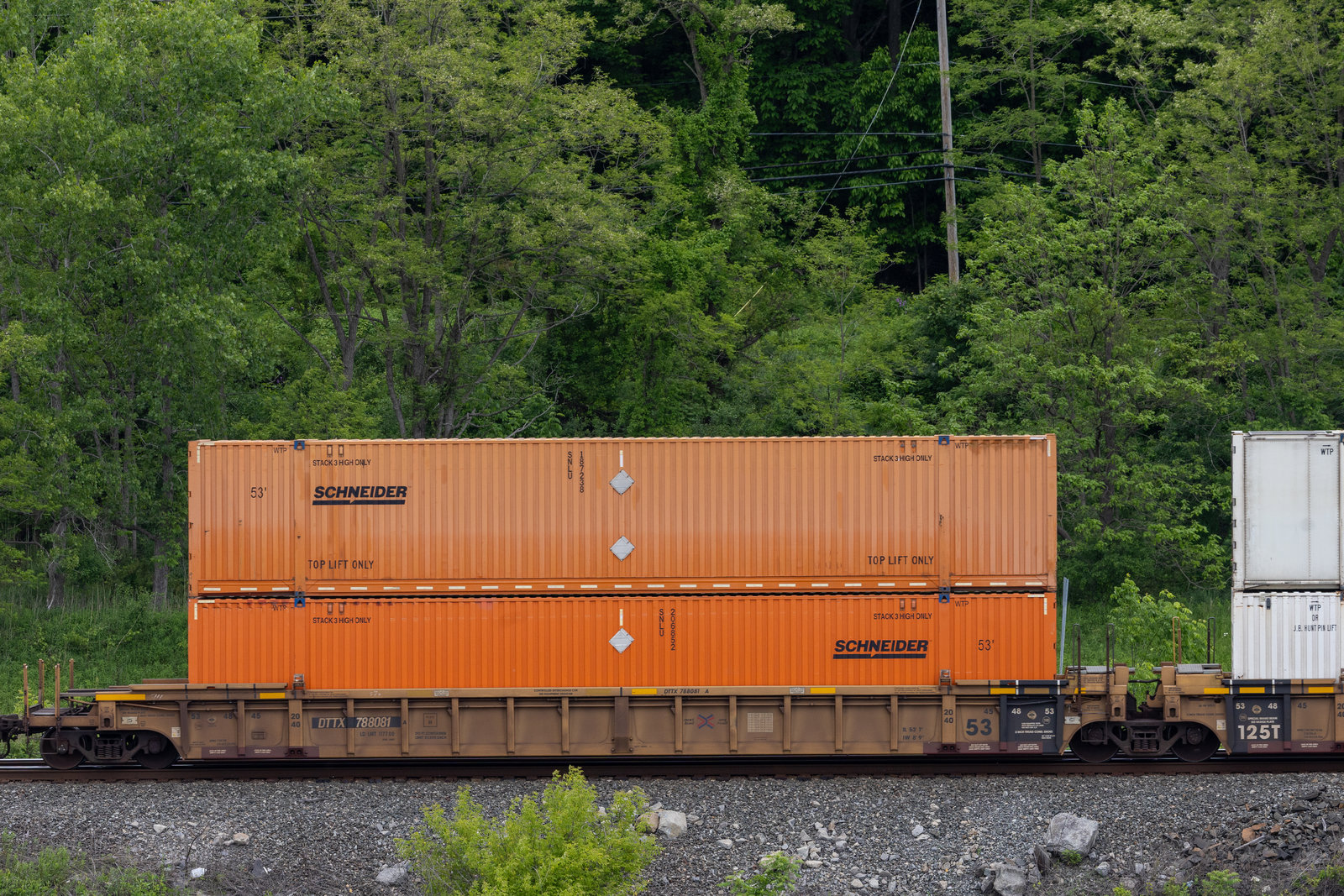 DTTX 788081A