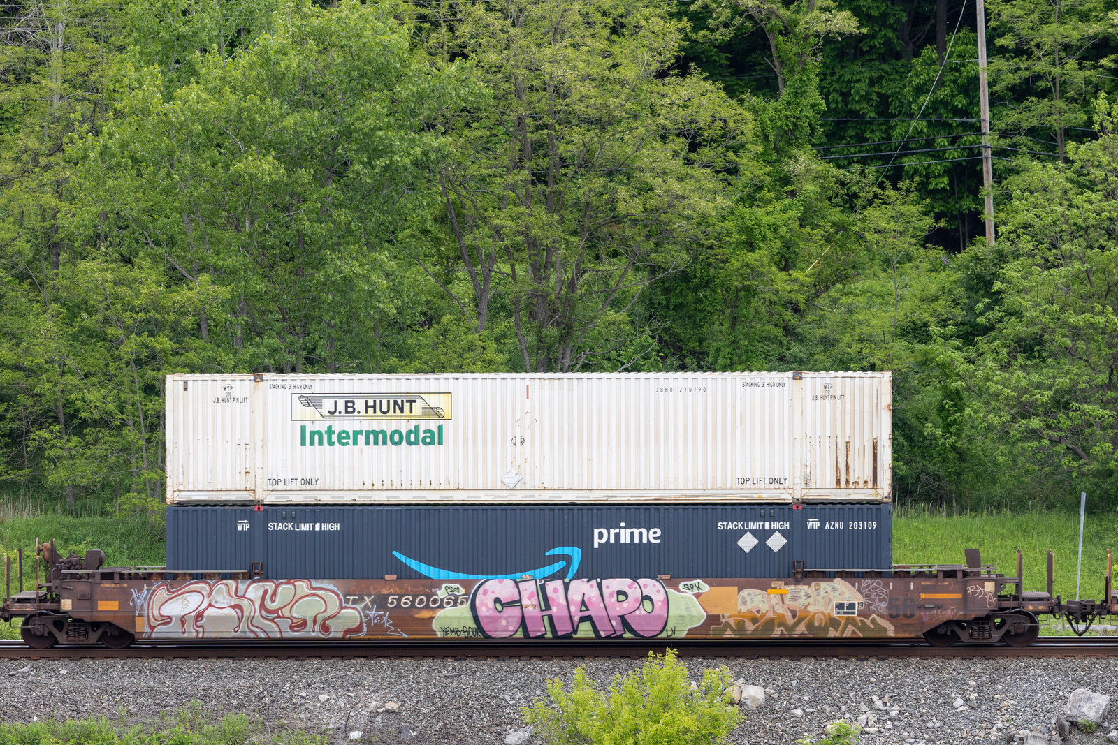 DTTX 560065