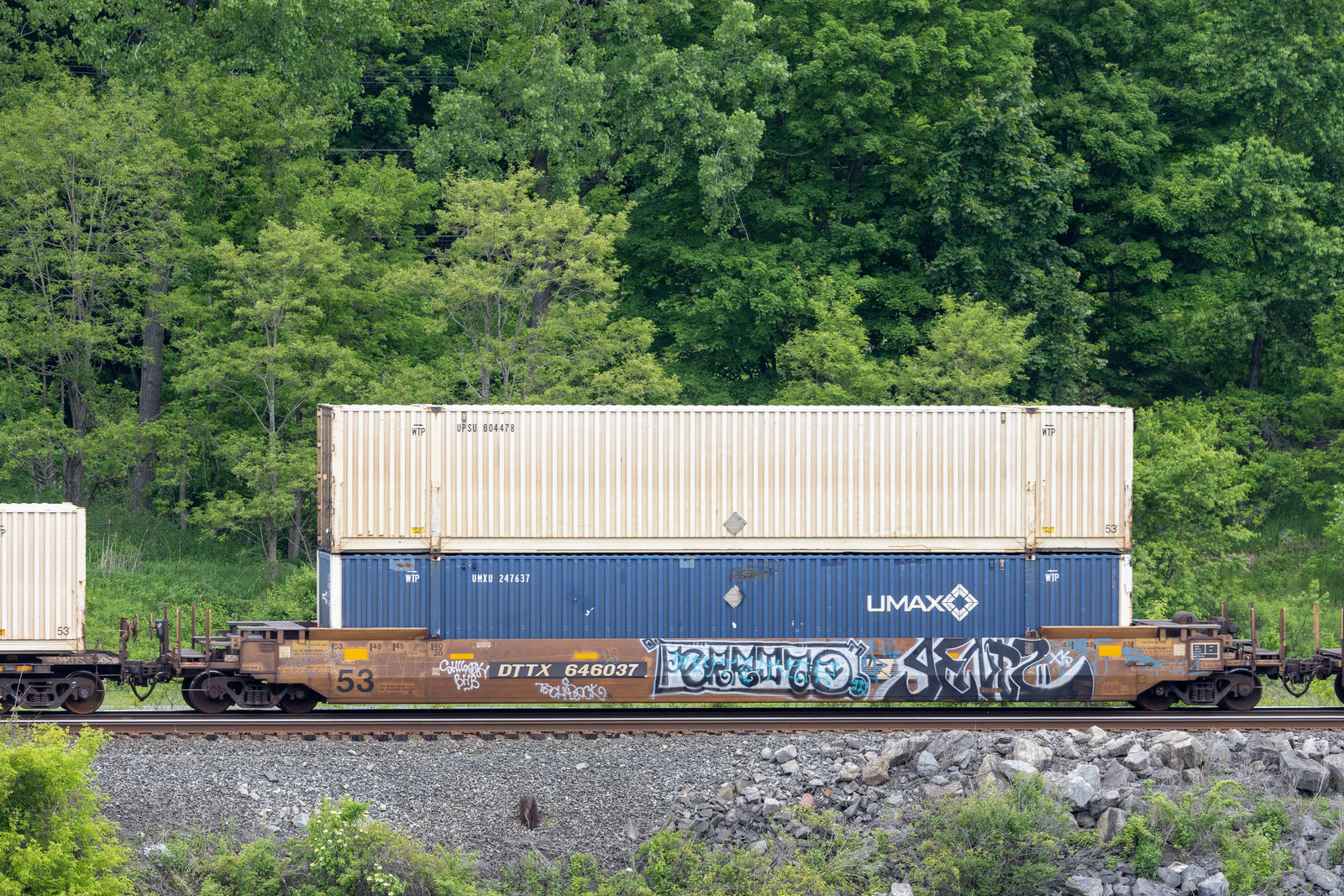 DTTX 646037