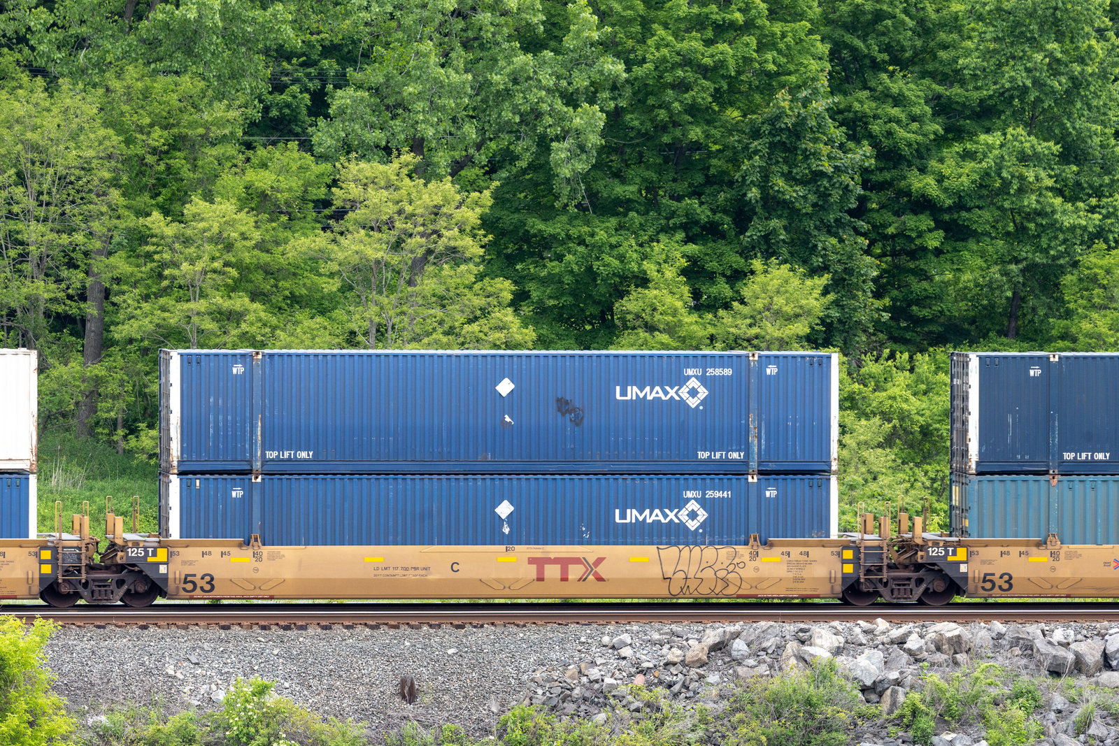DTTX 768686C