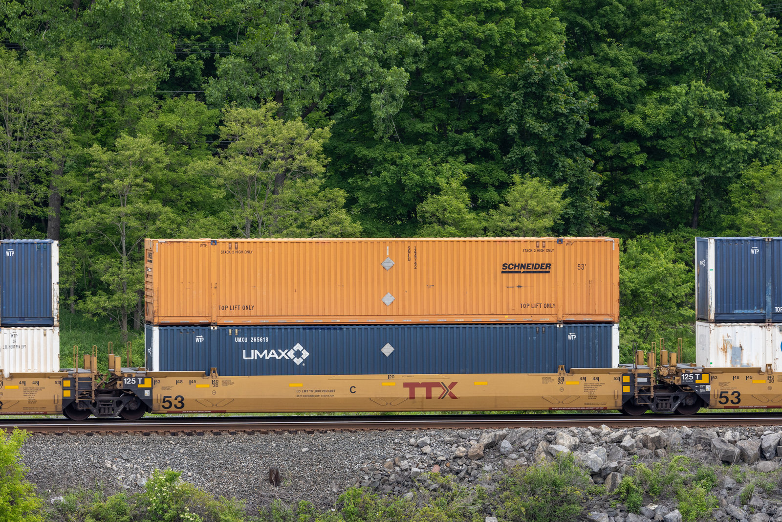 DTTX 768781C