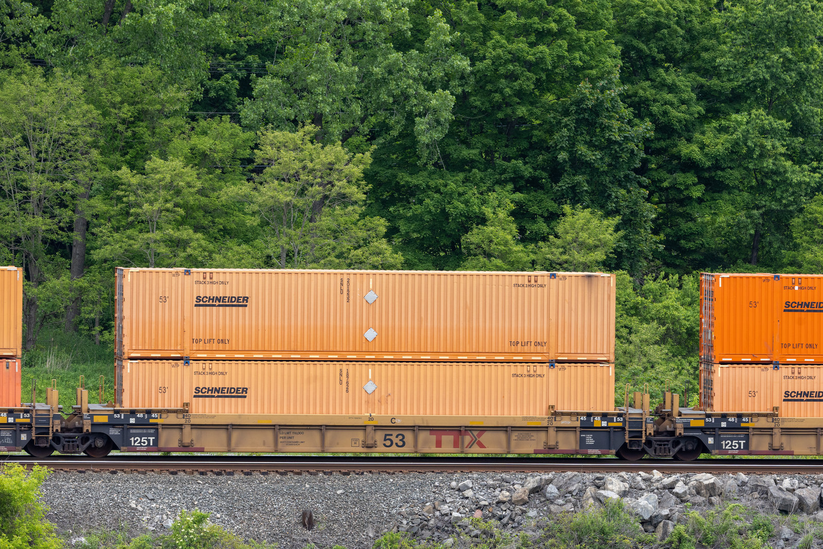 DTTX 730575C