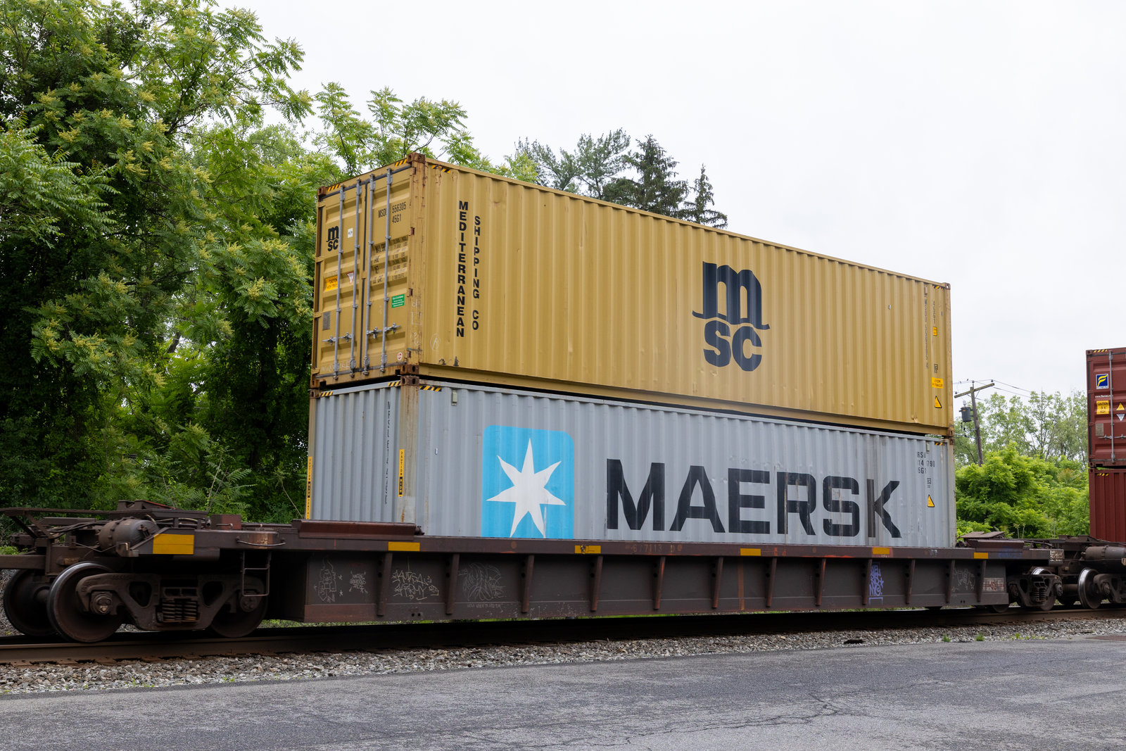 CN 677113D