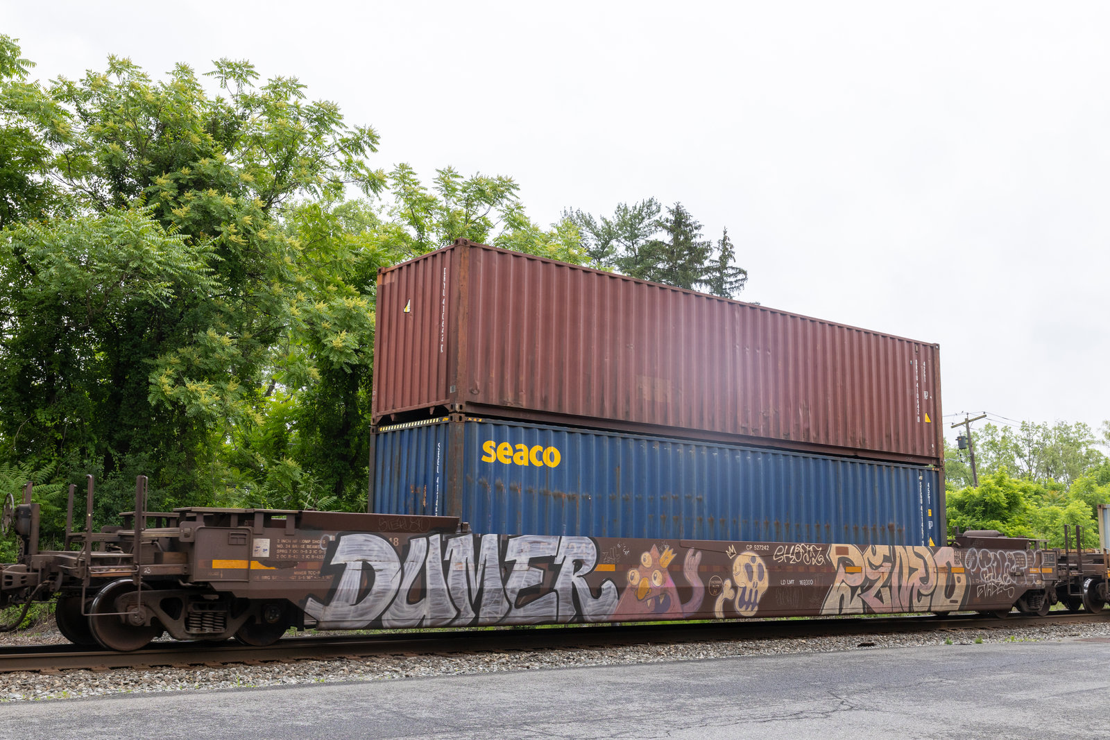 CP 527242