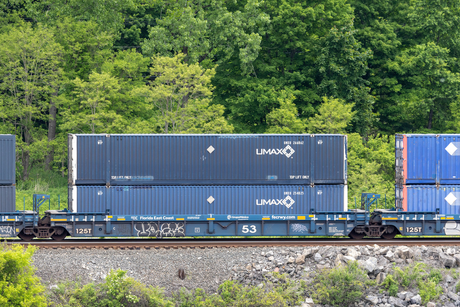 FEC 74374C