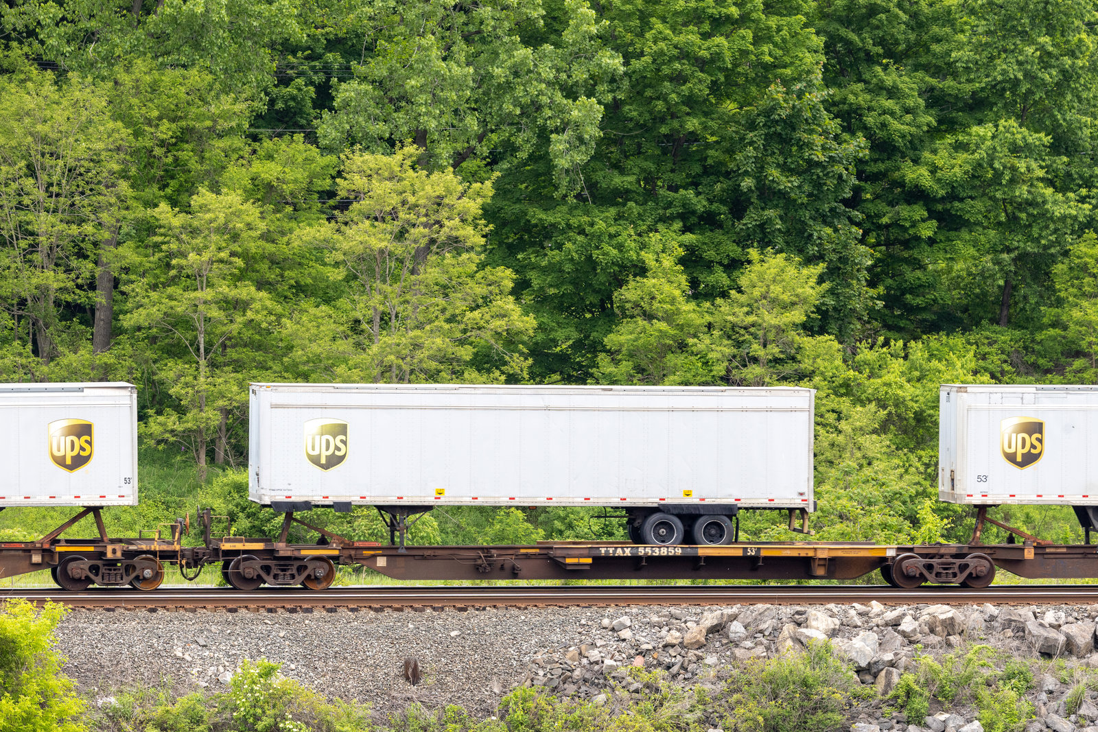 TTAX 553859B