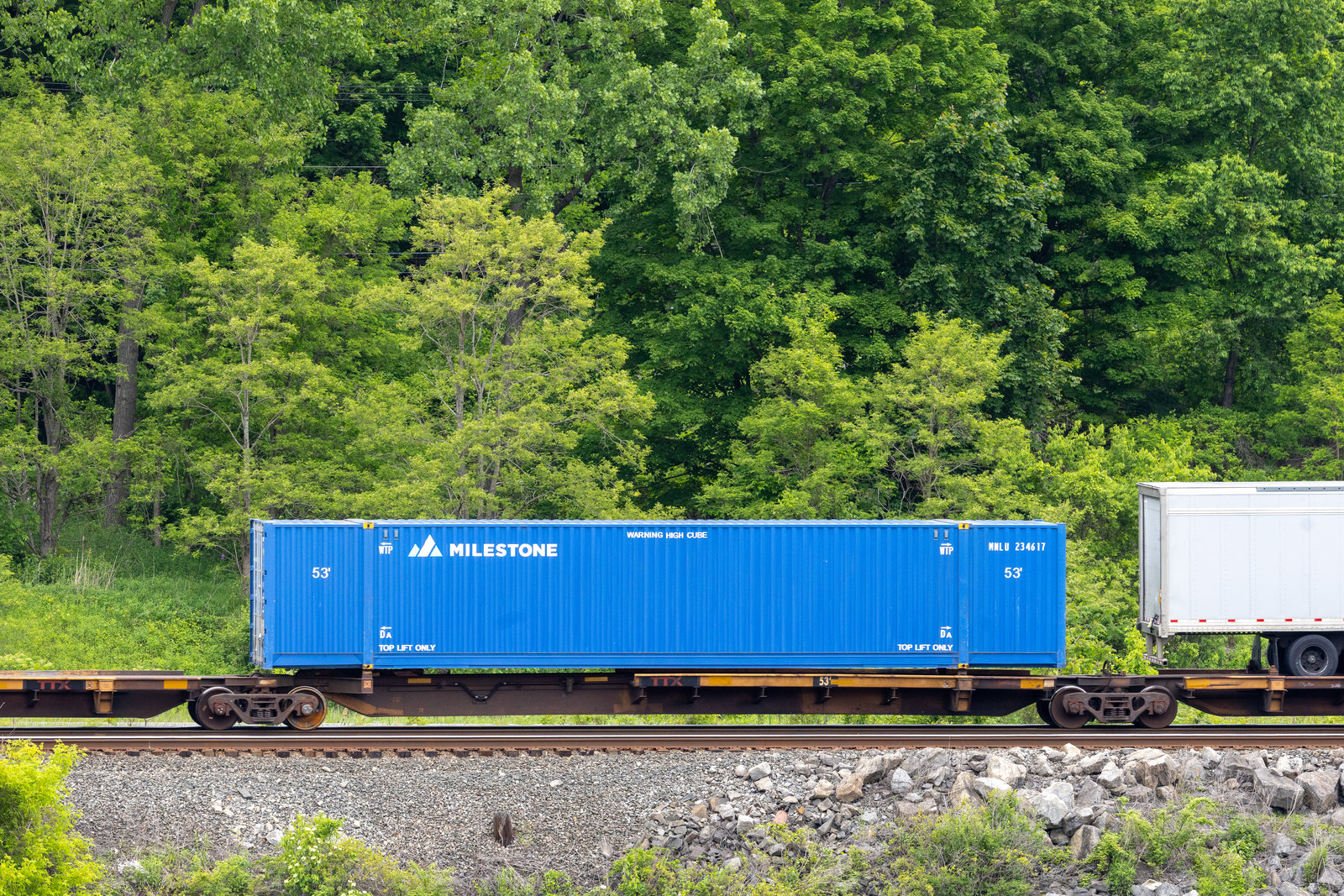 TTAX 553859E