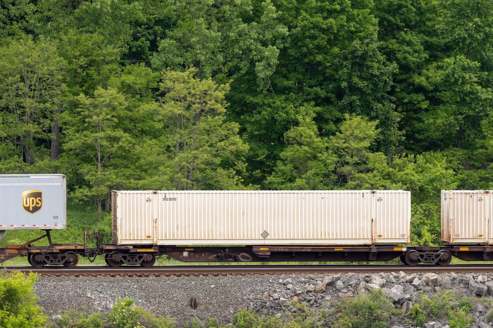 TTAX 555212A