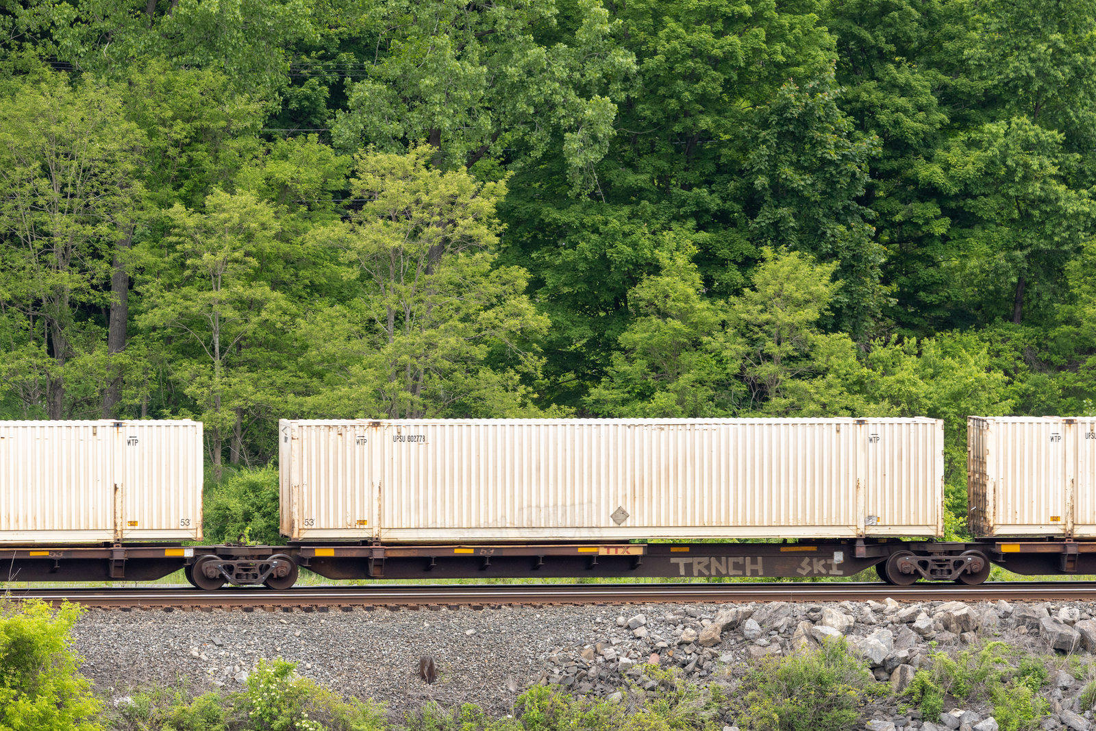 TTAX 555212E