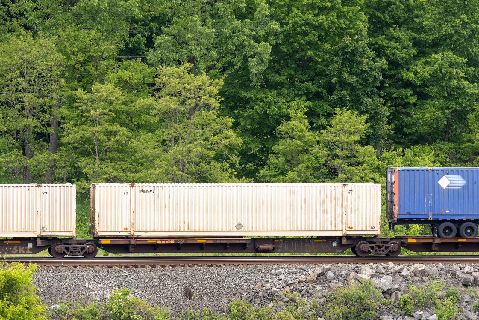 TTAX 555212D