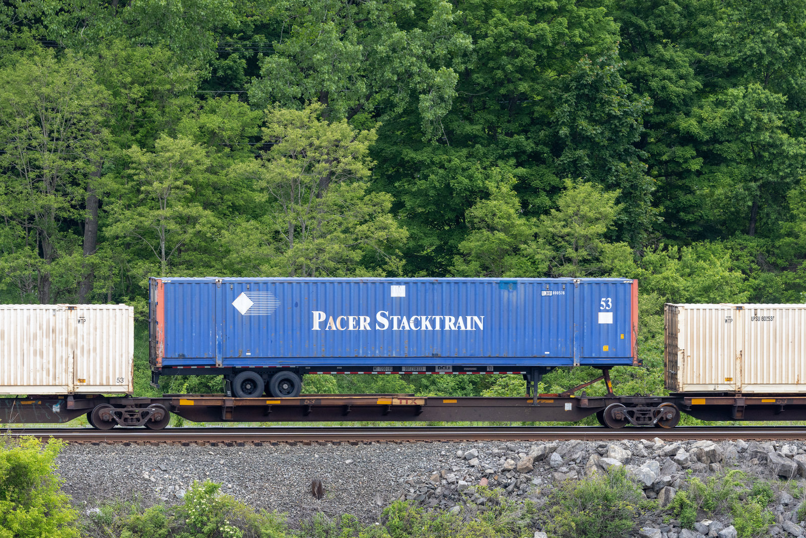 TTAX 555212C