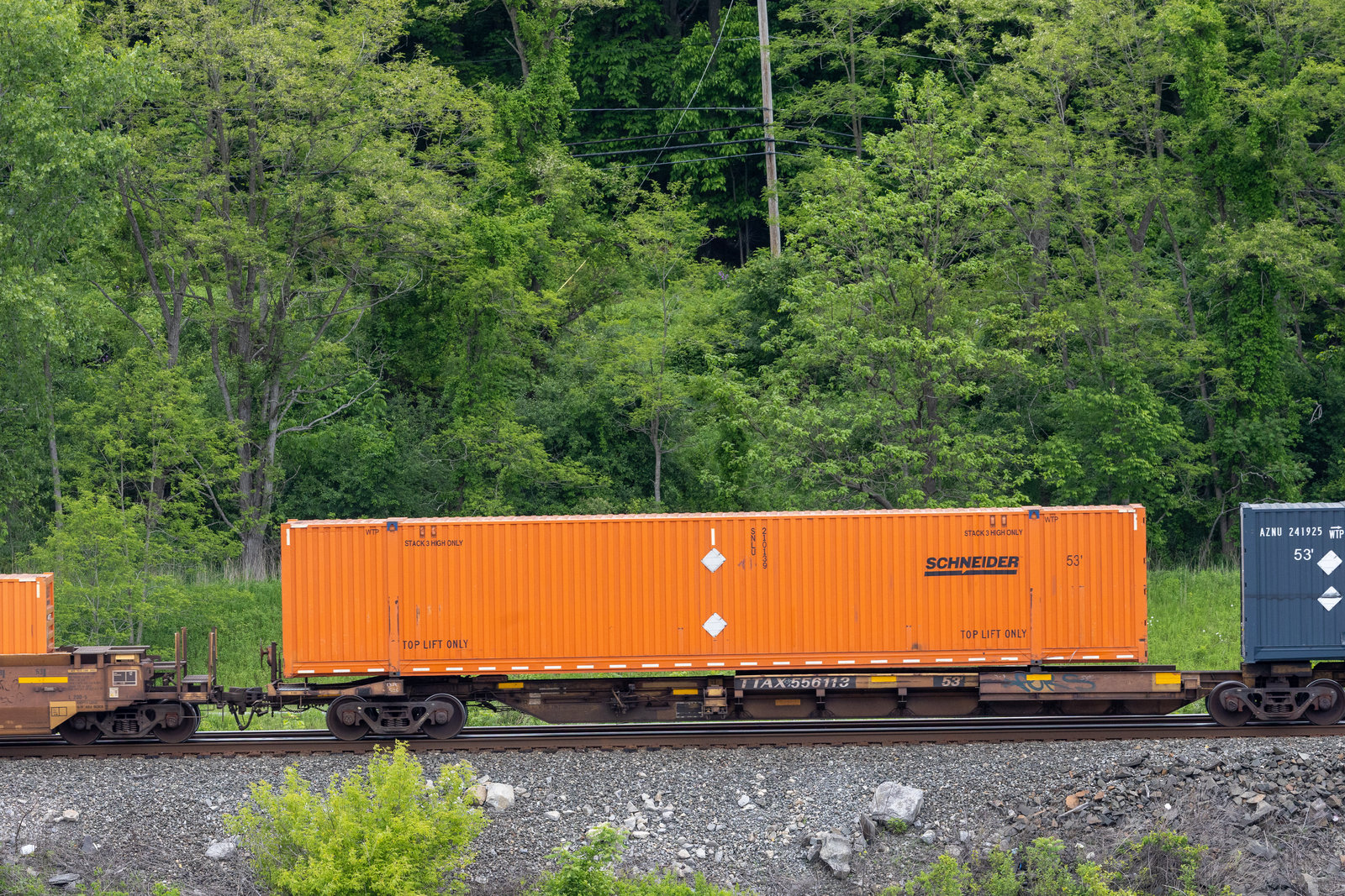 TTAX 556113B