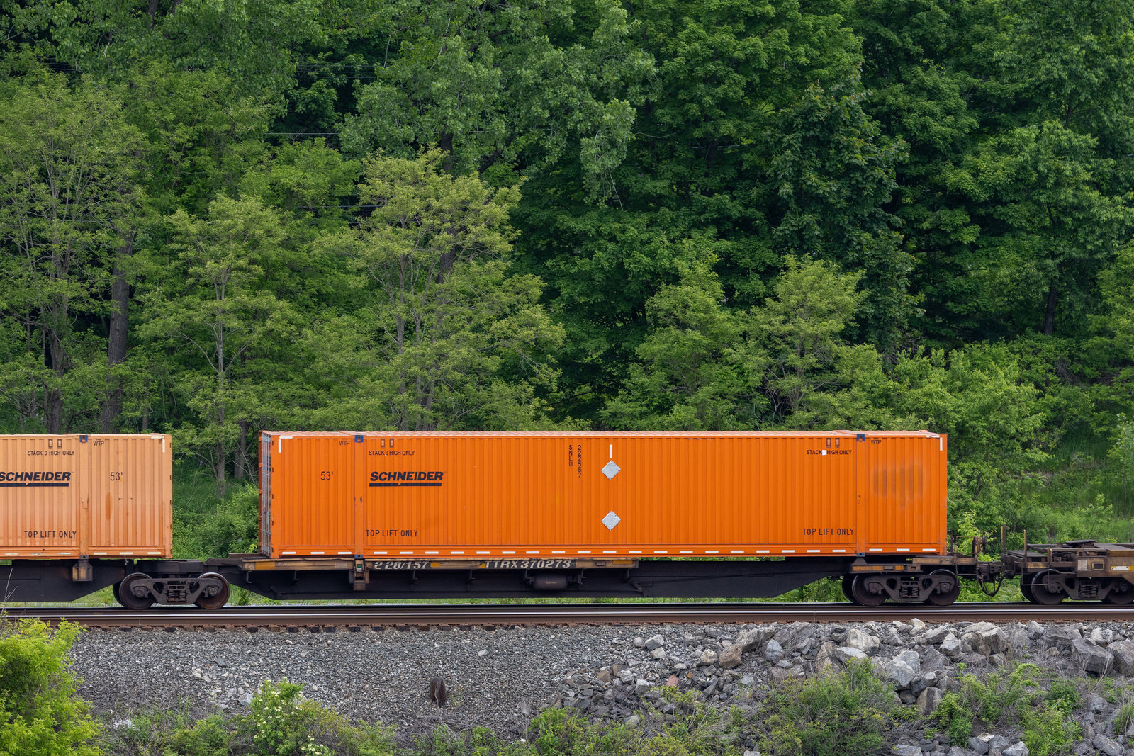 TTRX 370273B
