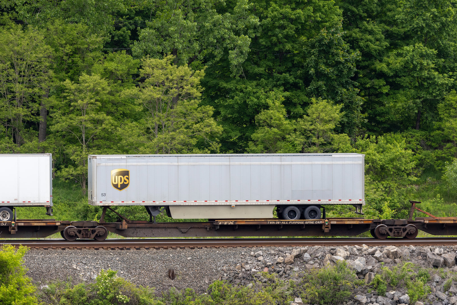 TTRX 370938C