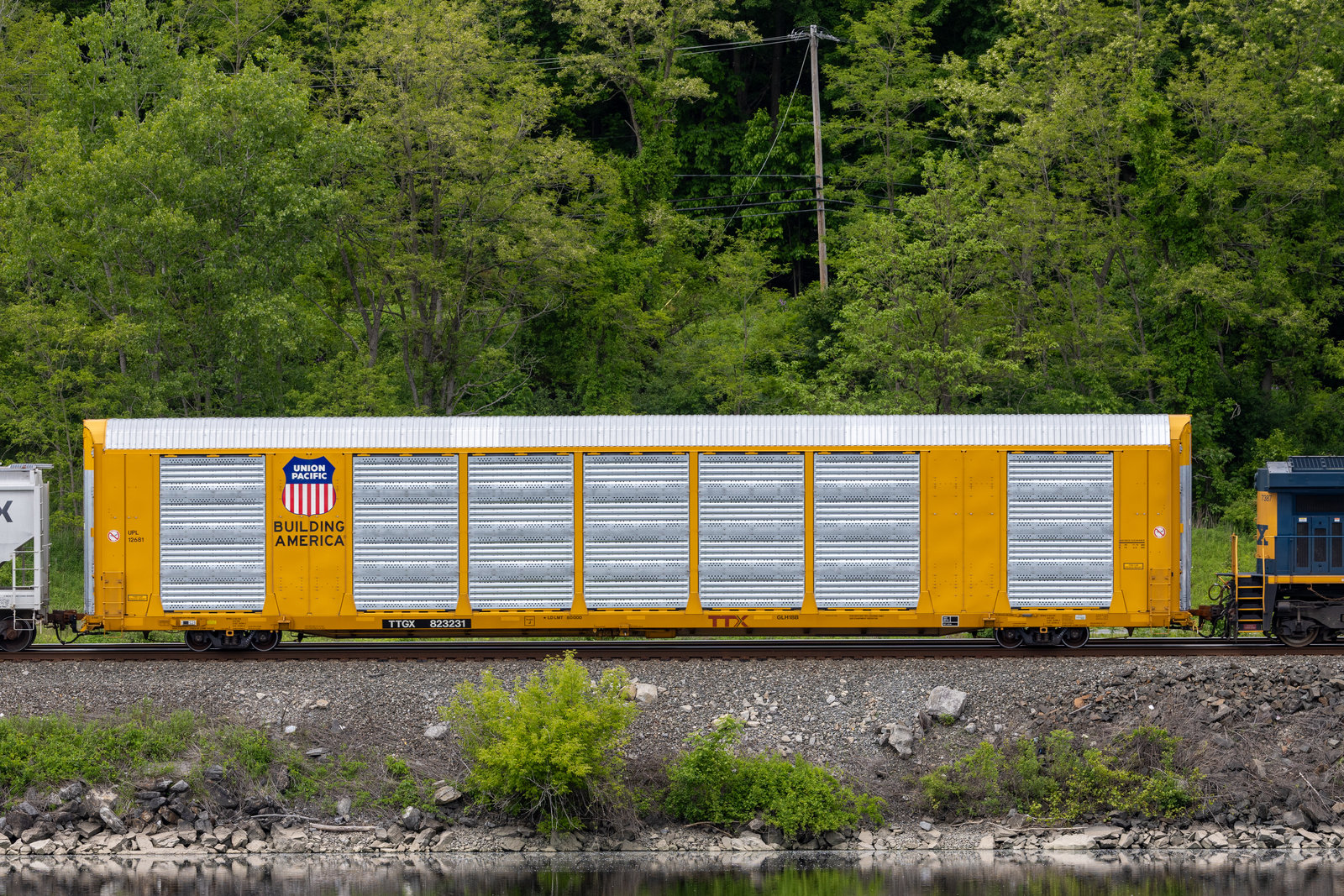 TTGX 823231