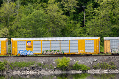 TTGX 698701
