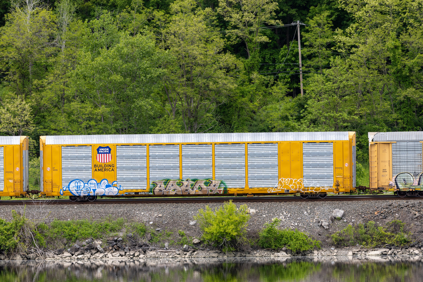 TTGX 698701