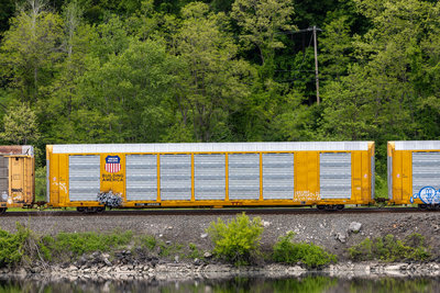 TTGX 699438