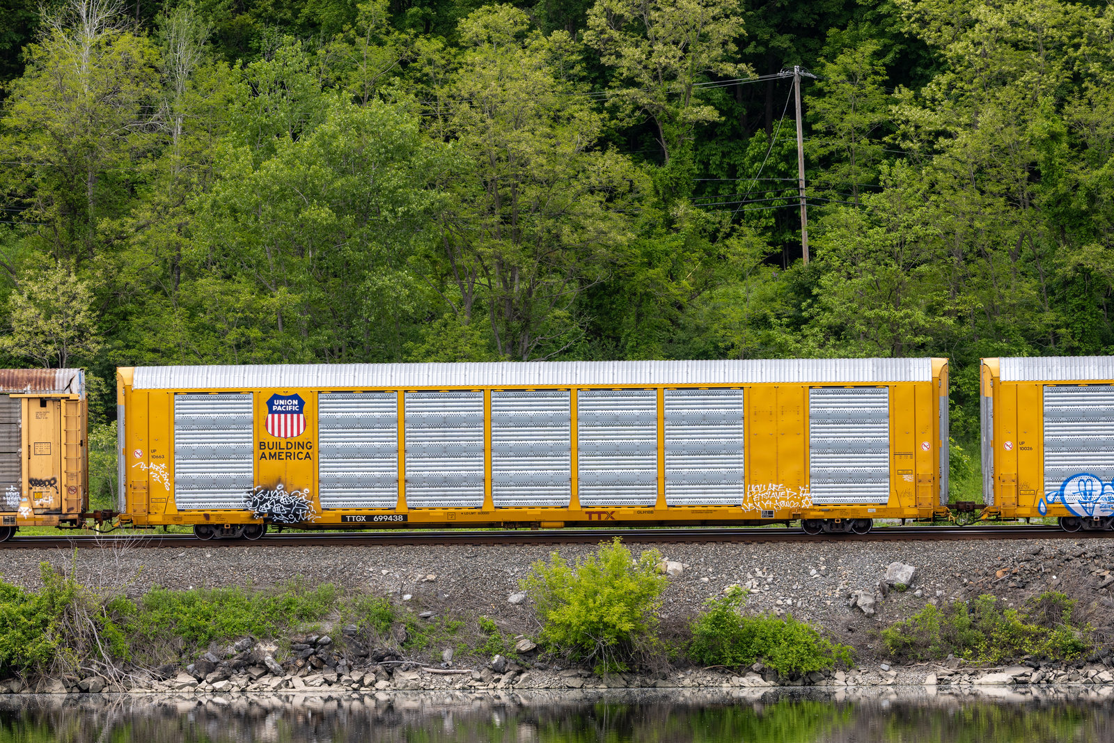 TTGX 699438