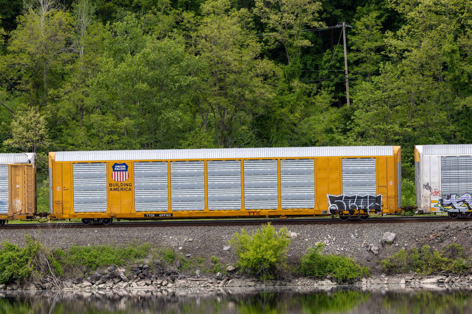 TTGX 699162