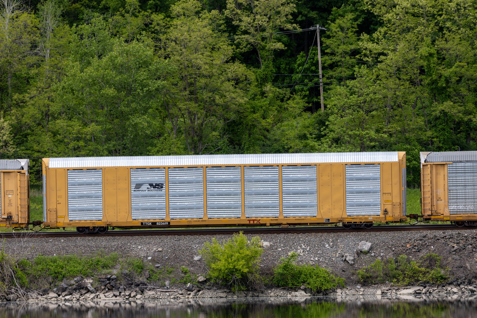 TTGX 823619