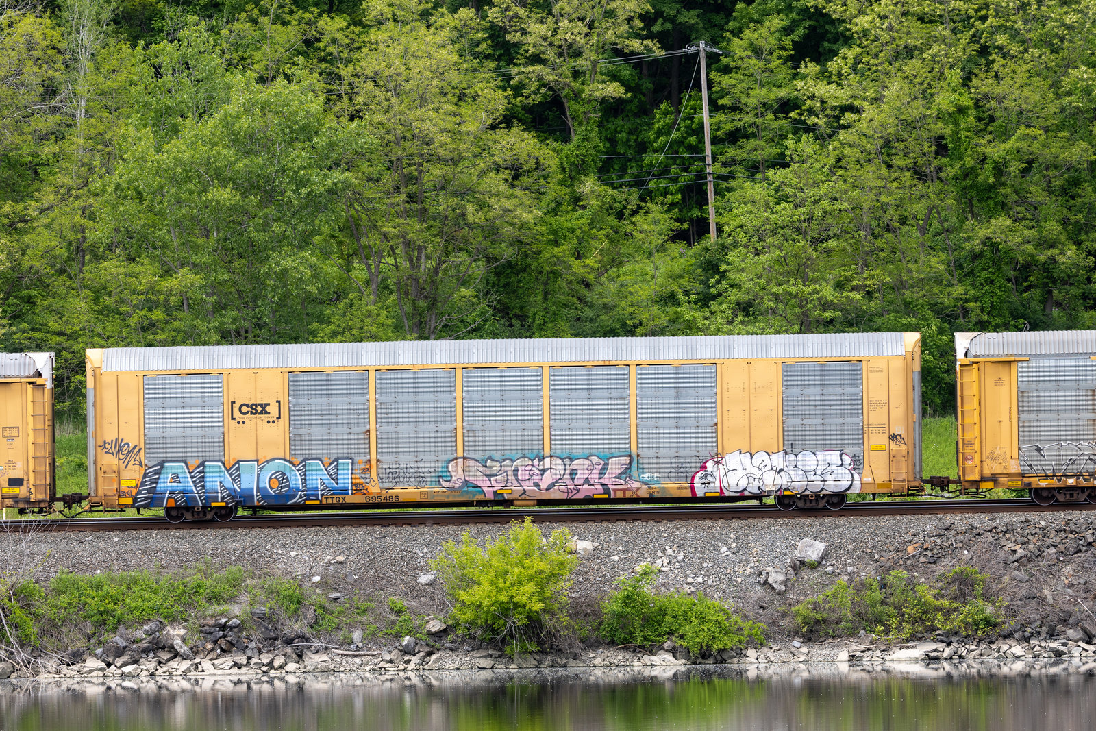 TTGX 695486