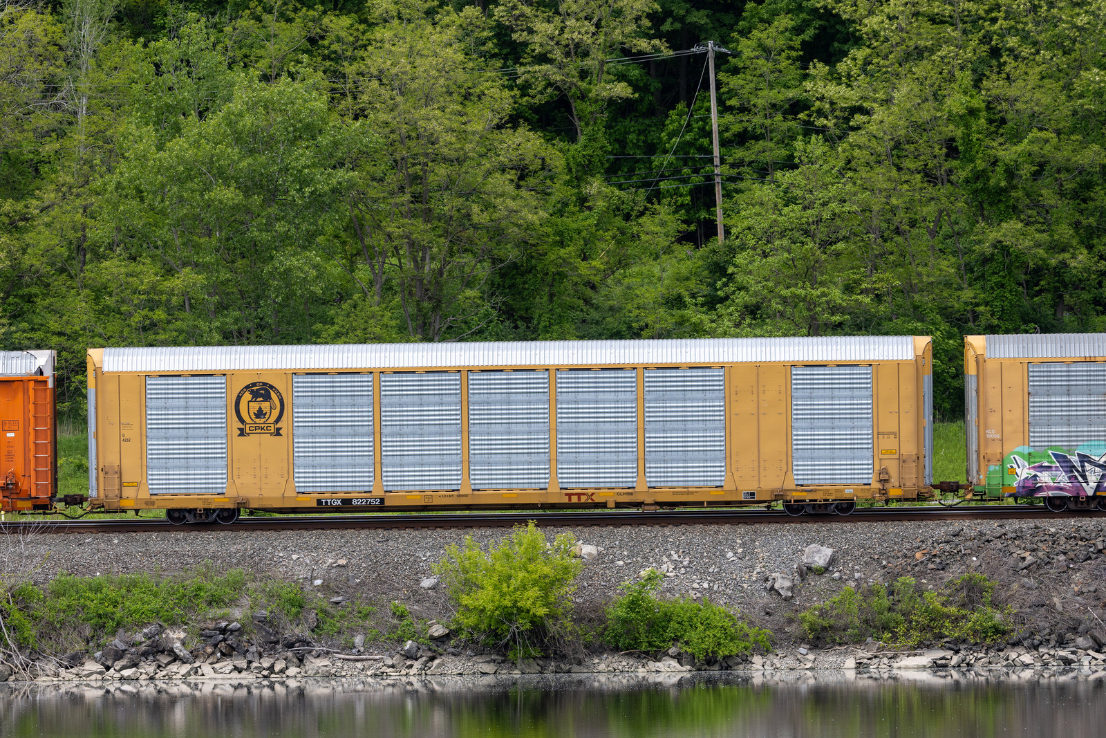 TTGX 822752