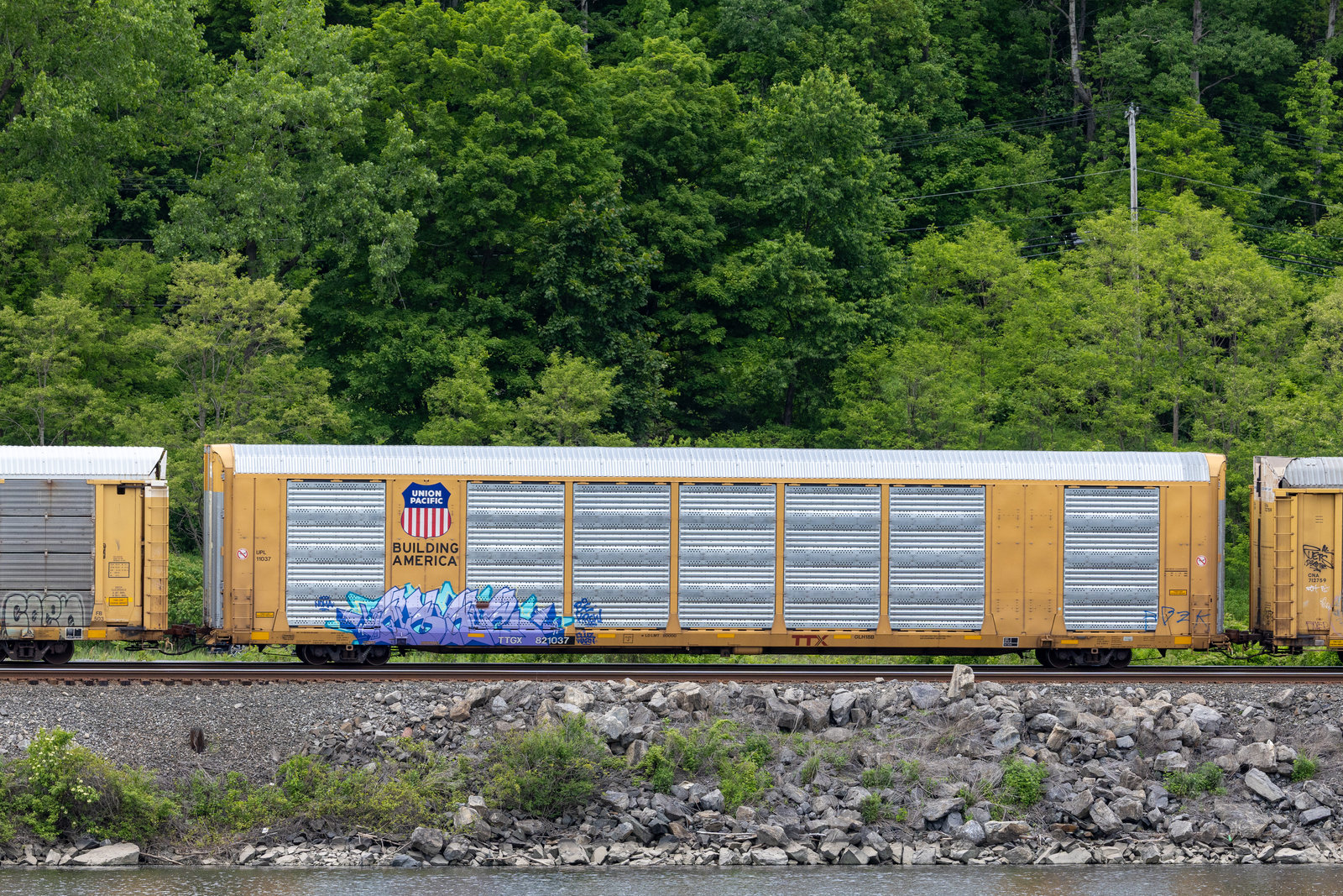 TTGX 821037