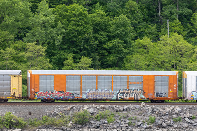 TTGX 693392