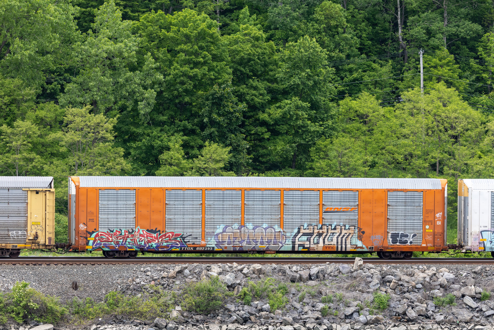 TTGX 693392