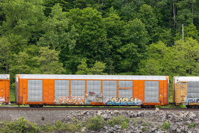 TTGX 696238