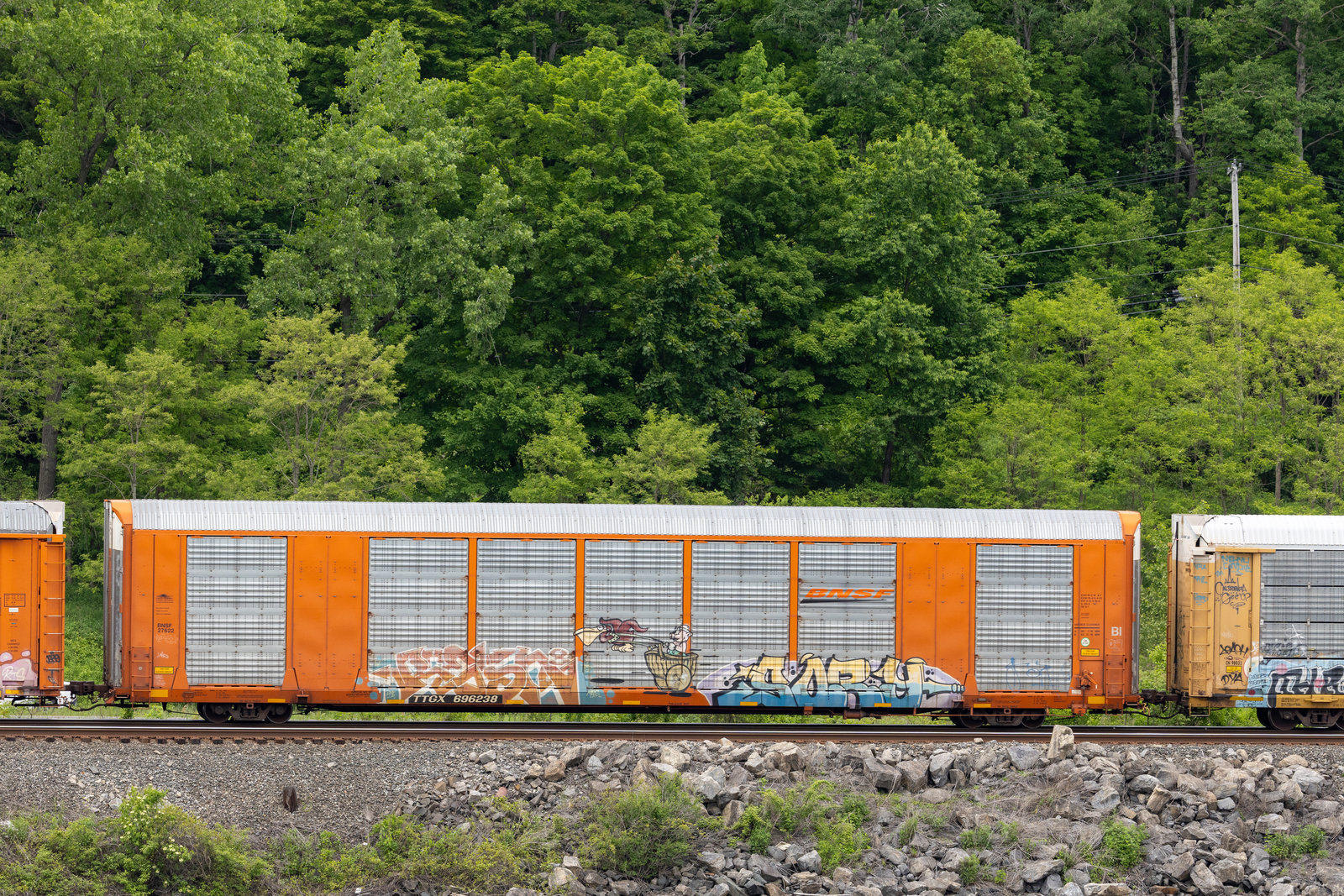 TTGX 696238