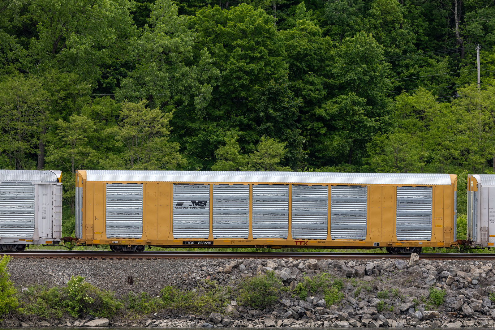 TTGX 823695