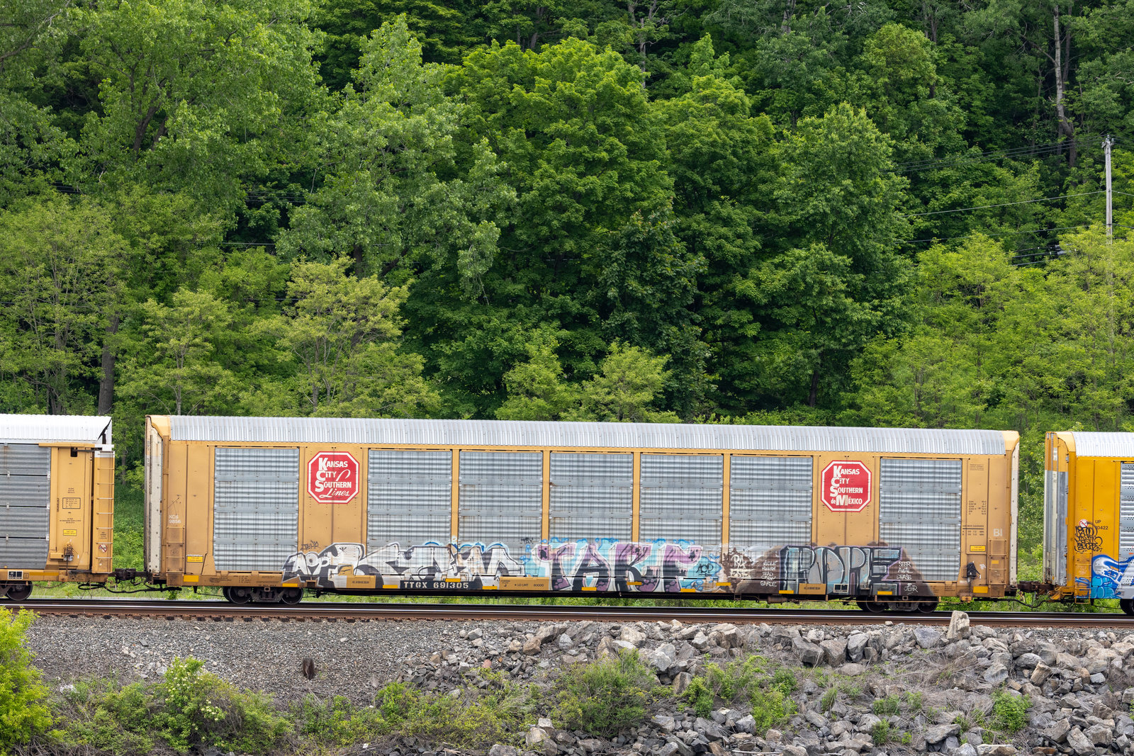TTGX 691305