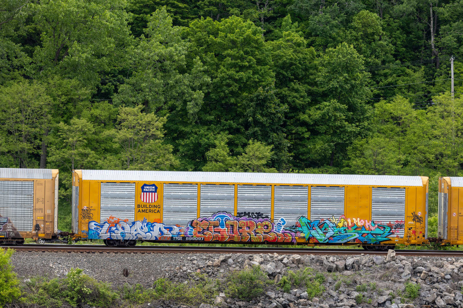 TTGX 699097